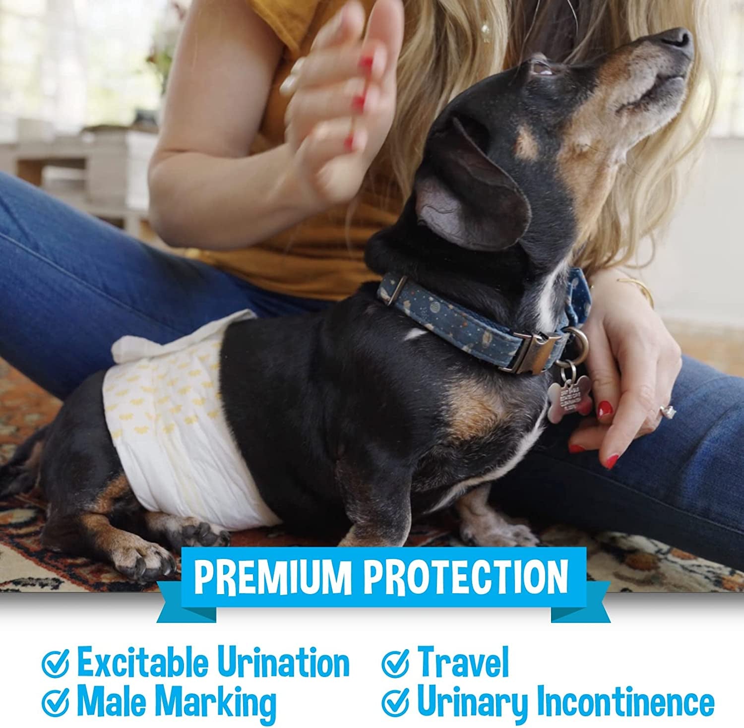 Bodhi Dog Disposable Male Dog Diapers - Super Absorbent, Leak-Proof Pee Wraps - Adjustable Fit, Comfortable Design, Advanced Moisture Control, and Wetness Indicator - Small (20 Count)