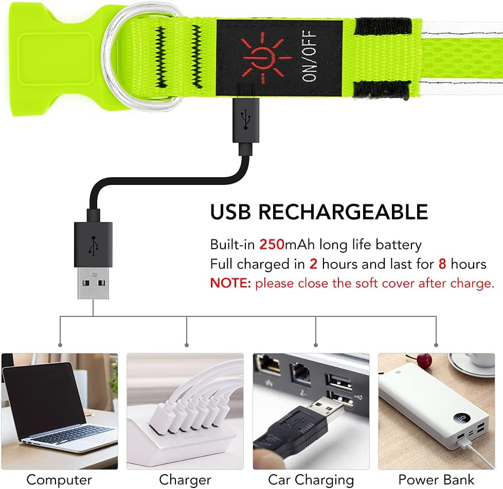Yfbrite Light up Dog Collar, USB Rechargeable LED Puppy Collar Super Bright Adjustable Glowing Dog Lights for Night Walking (Green, Small)
