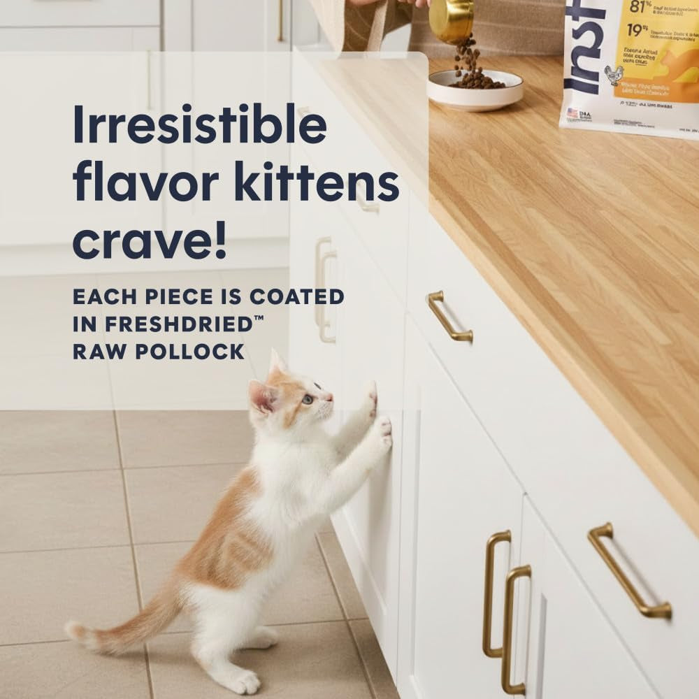 Instinct Original Kitten Dry Food, Raw Coated, Real Chicken, 4.5 Lb. Bag