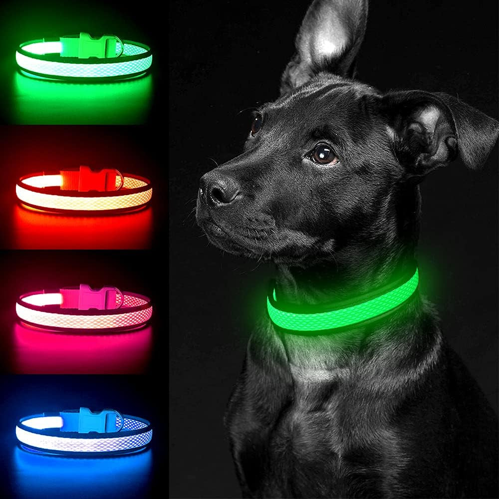 Yfbrite Light up Dog Collar, USB Rechargeable LED Puppy Collar Super Bright Adjustable Glowing Dog Lights for Night Walking (Green, Small)