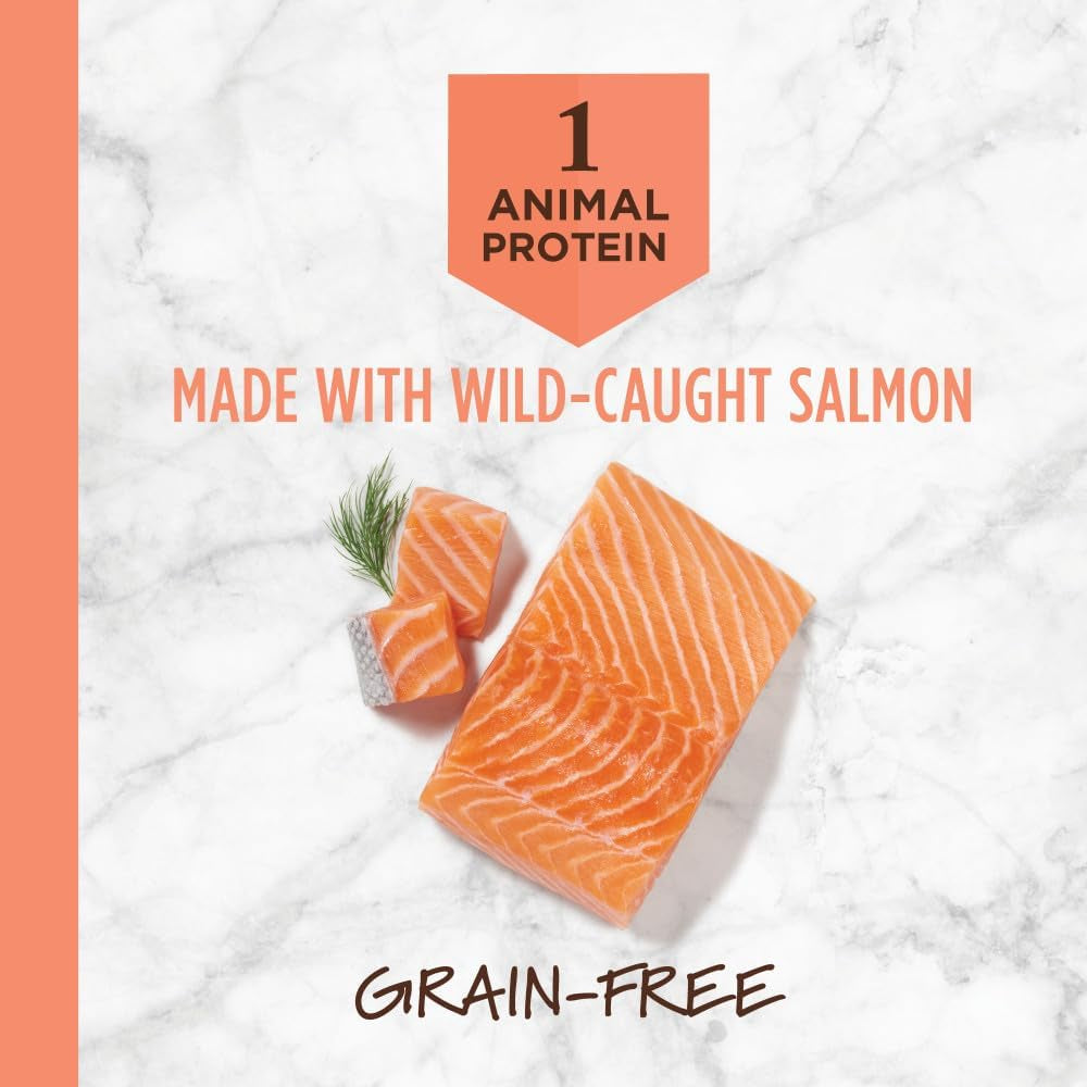 Instinct Limited Ingredient Diet Dry Dog Food, Real Salmon, 20 Lb. Bag | Single Animal Protein and Vegetable Recipe, Raw-Coated Kibble, Wild-Caught Salmon, Gentle on Sensitive Stomachs