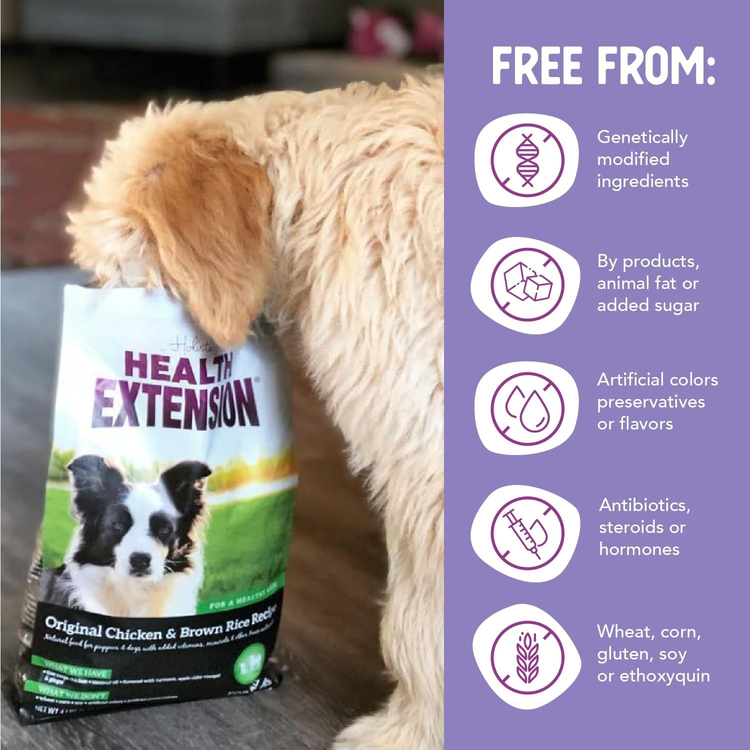 Health Extension Original Chicken & Brown Rice, Protein Packed Formula with Probiotics & Superfoods for Digestion & Coat Health (4 Lb Bag)