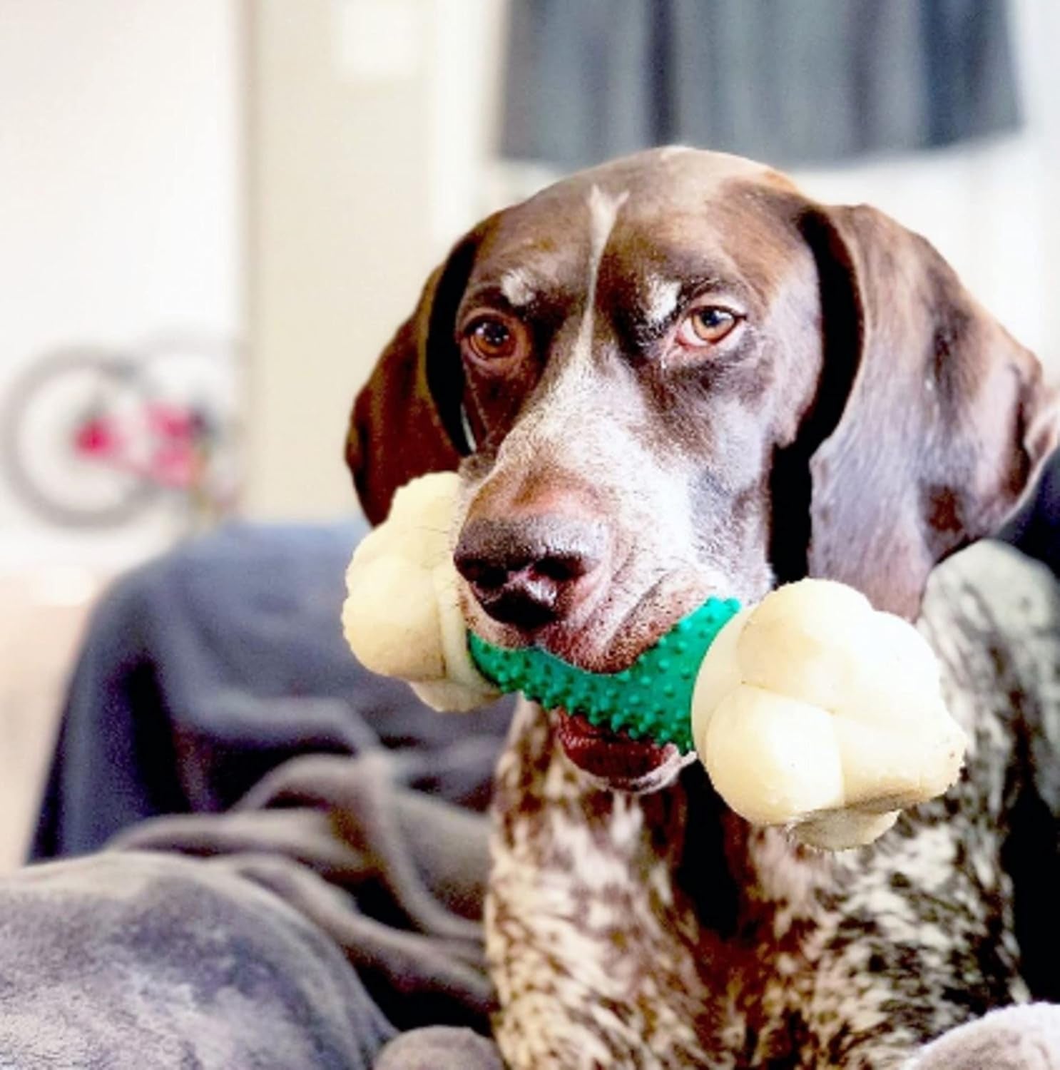 Nylabone Power Chew Double Action Barbell Bone Dog Chew Toy, X-Large | Durable Dog Toy for Large Dog Breeds 50+ Lbs, Teeth-Cleaning Textures, Long Lasting, Discourages Destructive Chewing