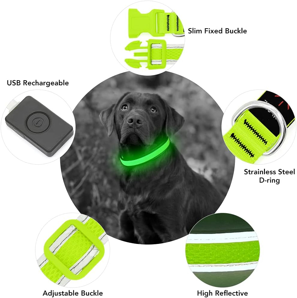 Yfbrite Light up Dog Collar, USB Rechargeable LED Puppy Collar Super Bright Adjustable Glowing Dog Lights for Night Walking (Green, Small)