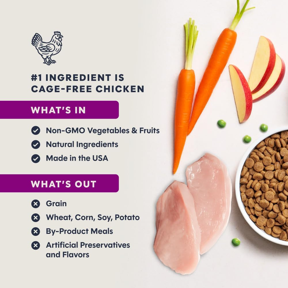 Instinct Original Kitten Dry Food, Raw Coated, Real Chicken, 4.5 Lb. Bag