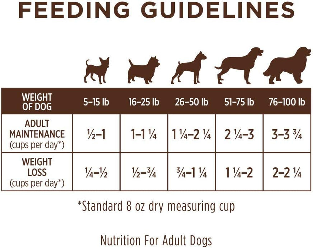 Instinct Limited Ingredient Diet Dry Dog Food, Real Salmon, 20 Lb. Bag | Single Animal Protein and Vegetable Recipe, Raw-Coated Kibble, Wild-Caught Salmon, Gentle on Sensitive Stomachs