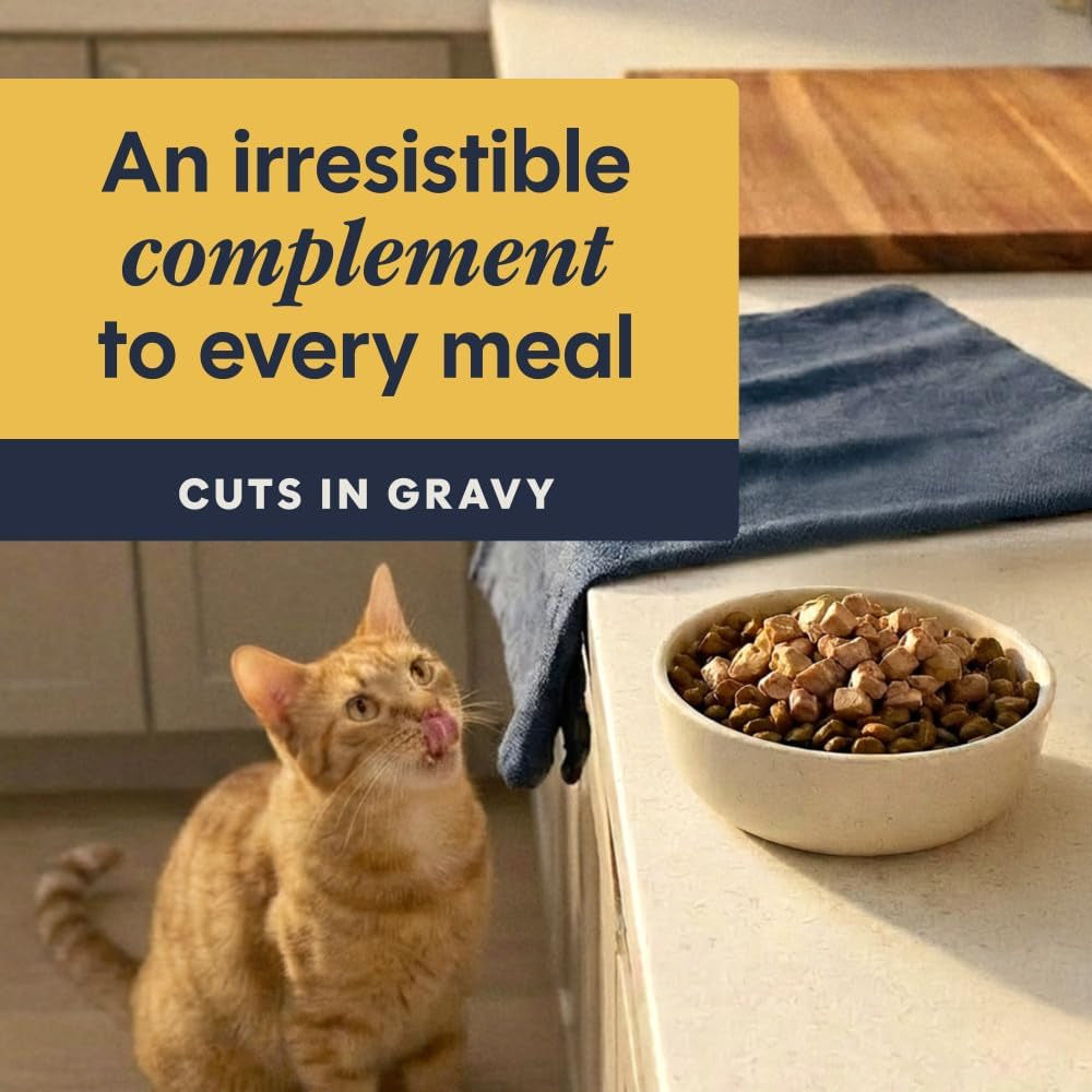 Instinct Healthy Cravings Grain Free Real Chicken Recipe Natural Wet Cat Food Topper by Nature'S Variety, 3 Ounce (Pack of 24)