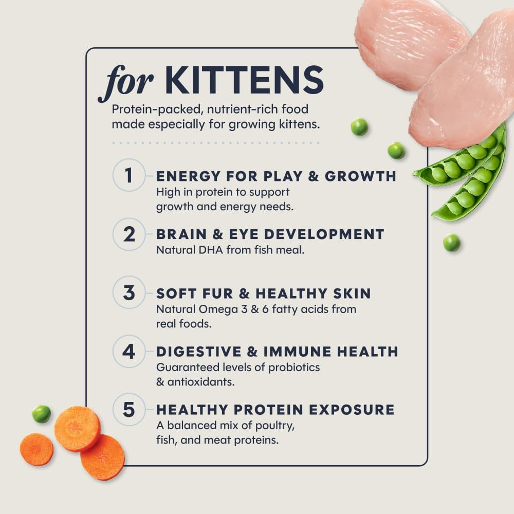 Instinct Original Kitten Dry Food, Raw Coated, Real Chicken, 4.5 Lb. Bag