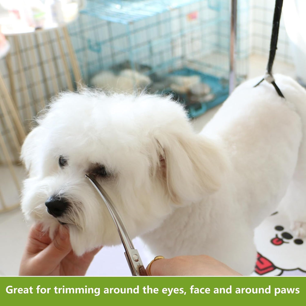 HASHIMOTO Curved Dog Grooming Scissors with Safety round Tips, 6.5 Inch. | Lightweight, No Stabbing with Blunt Tip, 440C Stainless Steel, Sharp, Friendly to Amateur.